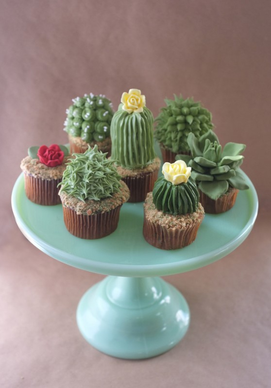 Ces cactus sont un gateau