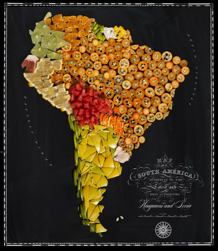 carte-aliments-01