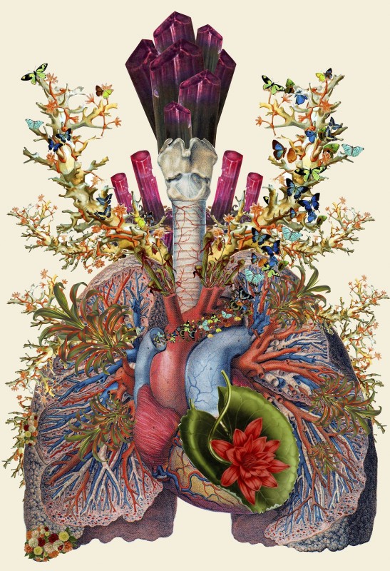 collage-illsutration-scientifique-01
