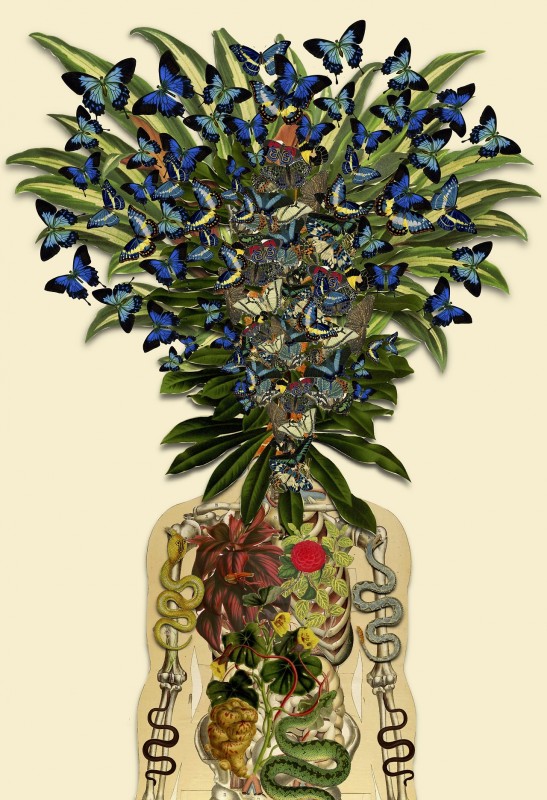 collage-illsutration-scientifique-02