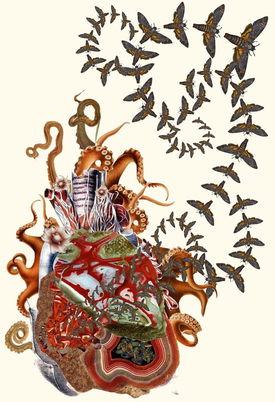 collage-illsutration-scientifique-03