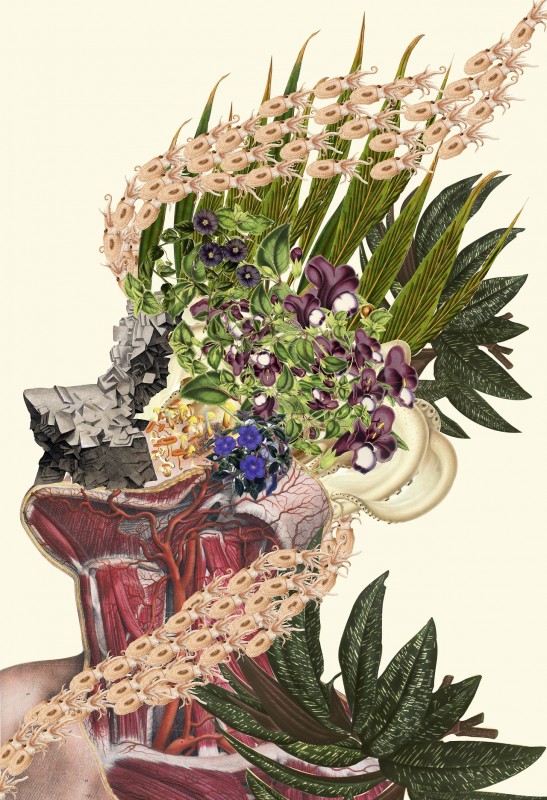collage-illsutration-scientifique-04