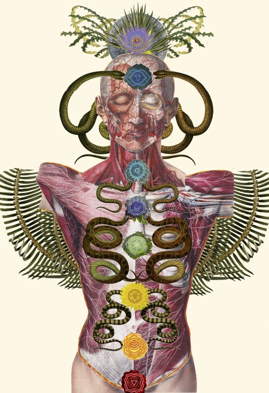 collage-illsutration-scientifique-07