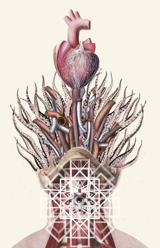 collage-illsutration-scientifique-09