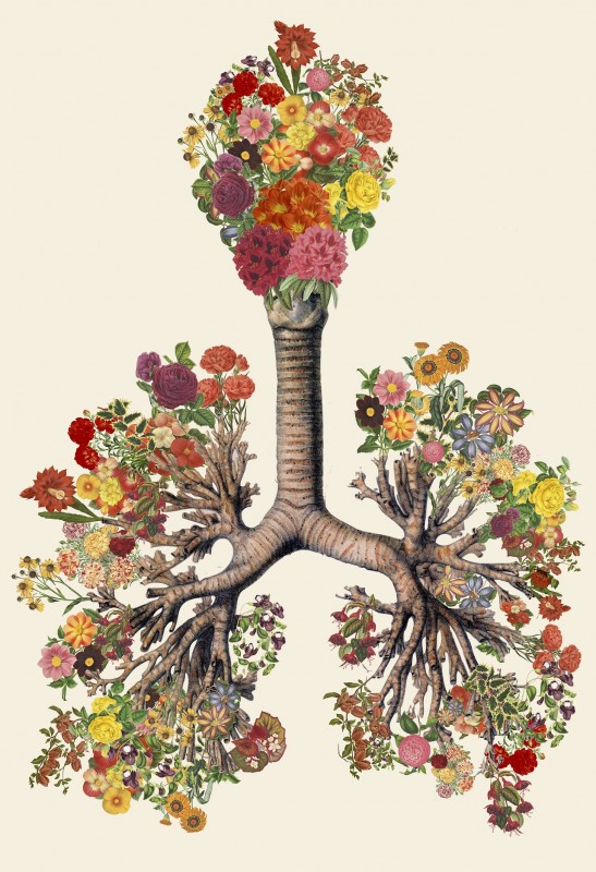 collage-illsutration-scientifique-10