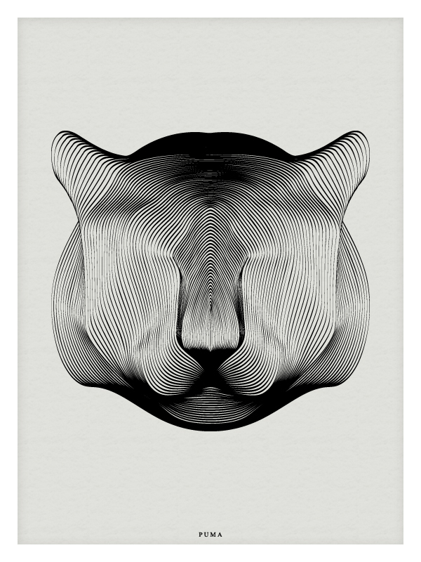animal-moire-02