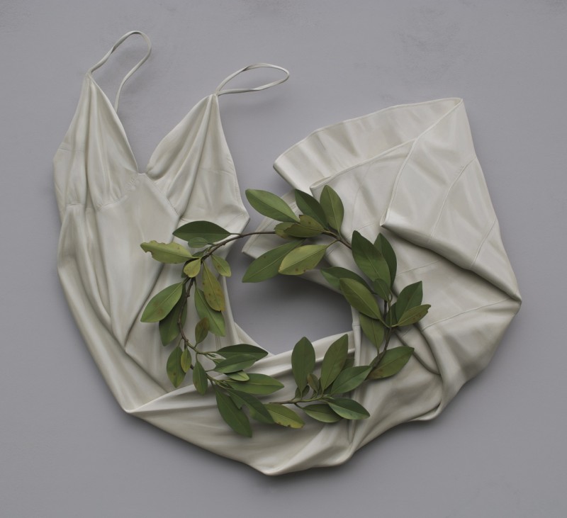 "Anise," 2013