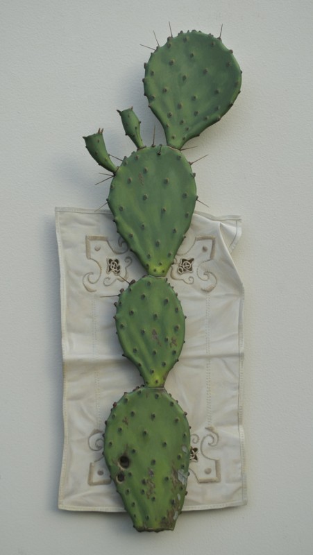 "Opuntia," 2013