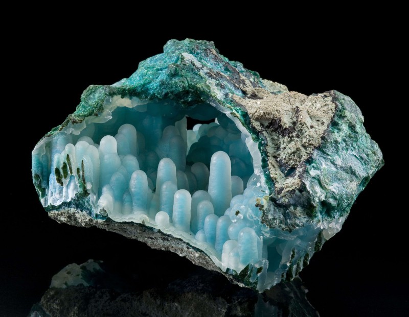 roche-01