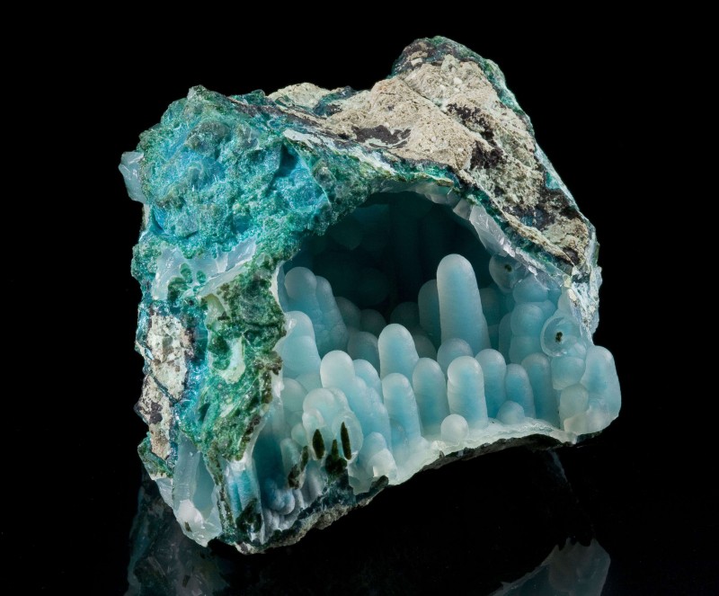 roche-03