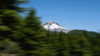 article-best-of-gifs-21