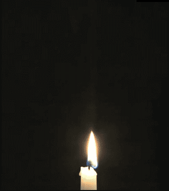 article-best-of-gifs-38