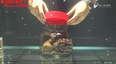 article-best-of-gifs-40