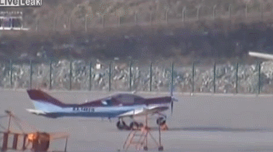 article-best-of-gifs-42