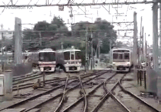 article-best-of-gifs-46