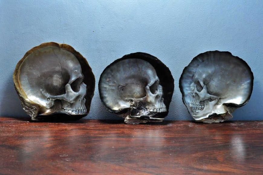 crane-huitre-05