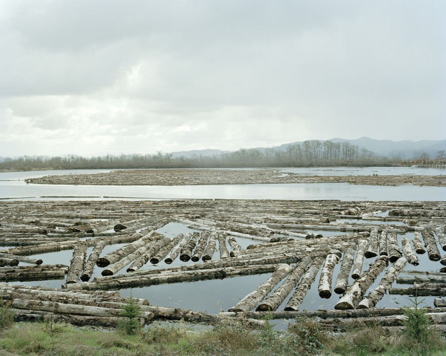 sawdust-02