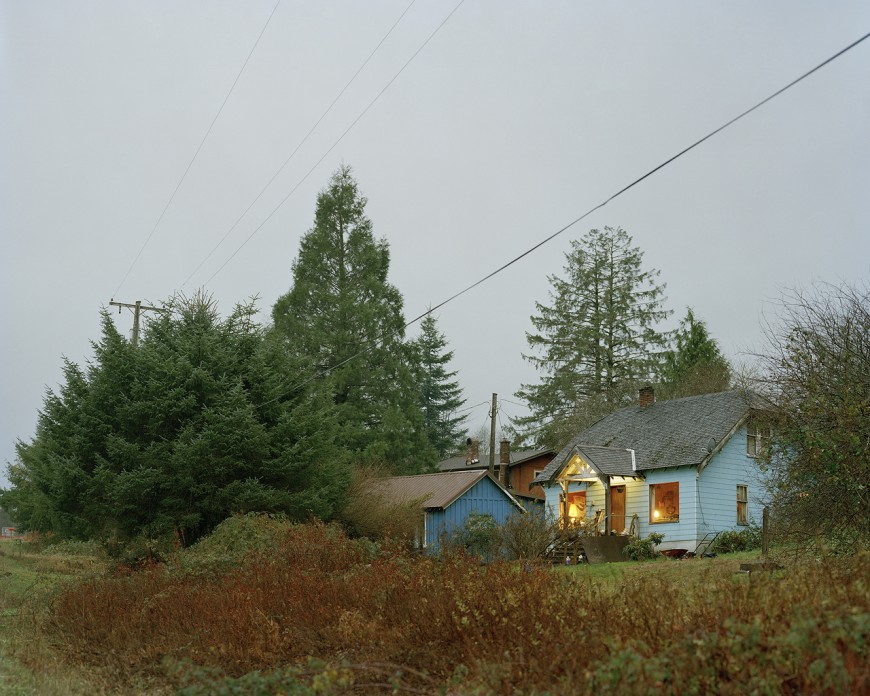 sawdust-04