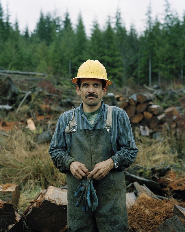 sawdust-05