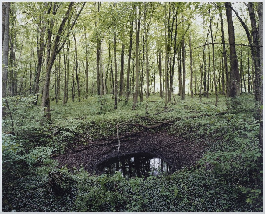 Les cratères des forets allemandes