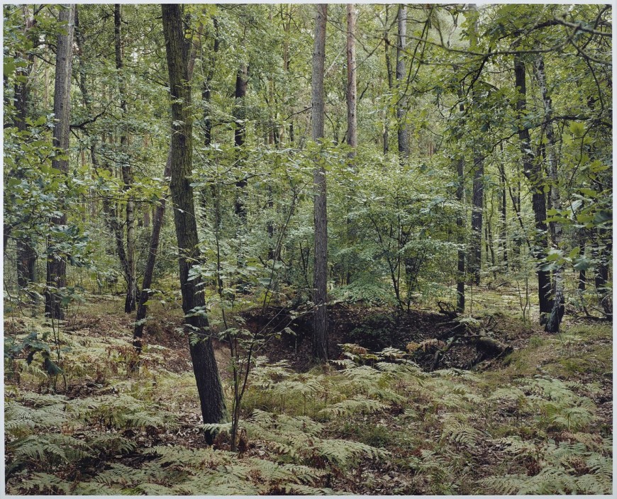 cratere-bombardement-guerre-mondiale-allemagne-foret-04