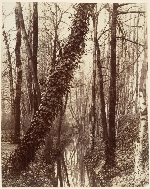 La Bièvre Paris Riviere Sous Sol Atget