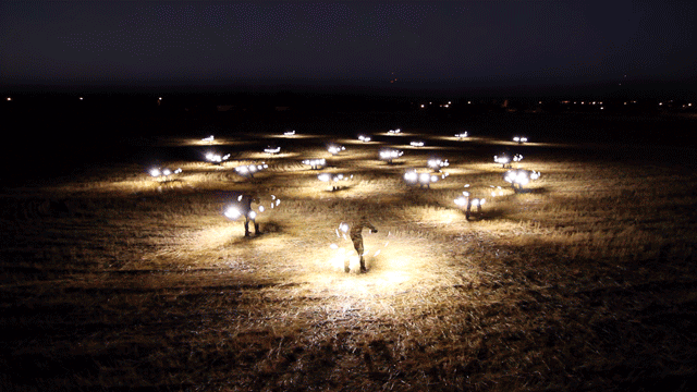 gif-clone-02