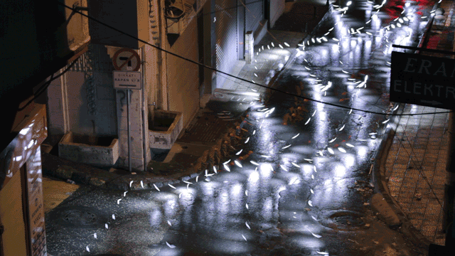 gif-clone-05