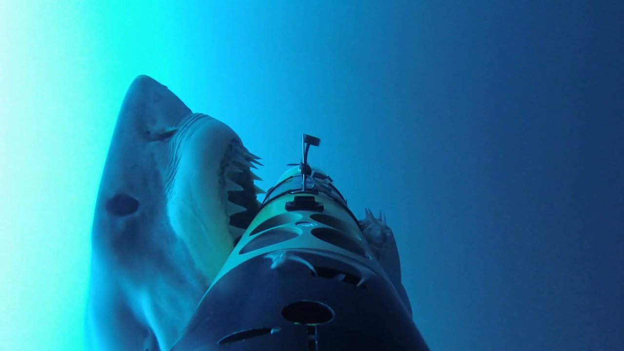 Un requin attaque un drone sous marin scientifique