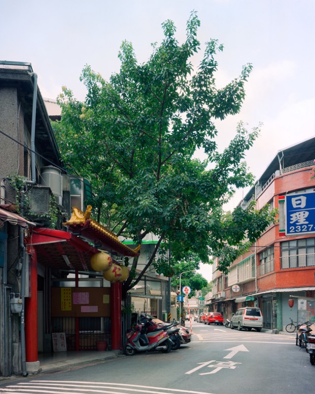 arbre-mur-taiwan-01