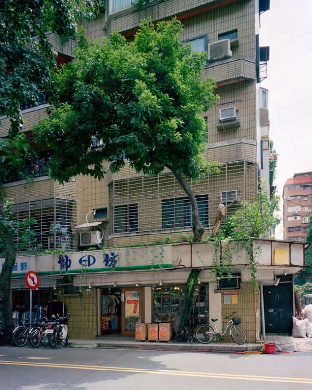 arbre-mur-taiwan-02