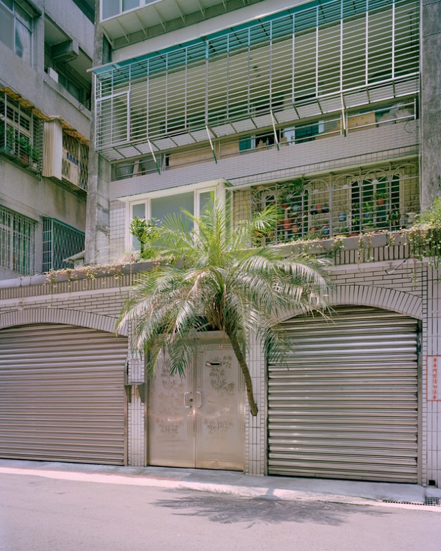 arbre-mur-taiwan-03