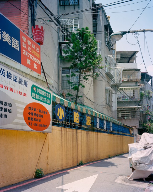 arbre-mur-taiwan-05