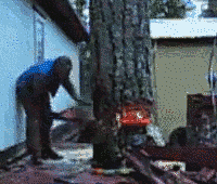 best-of-gif6-animation-29