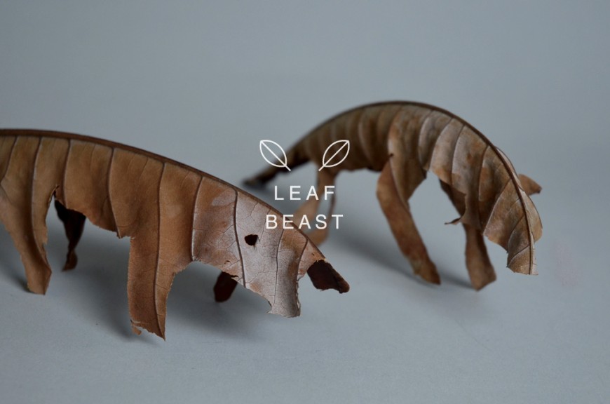 animal-feuille-02