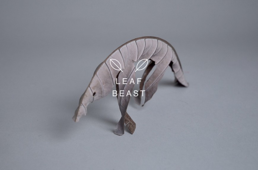animal-feuille-04