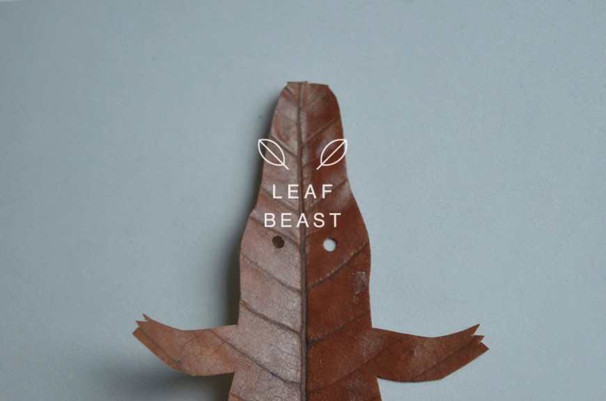 animal-feuille-06