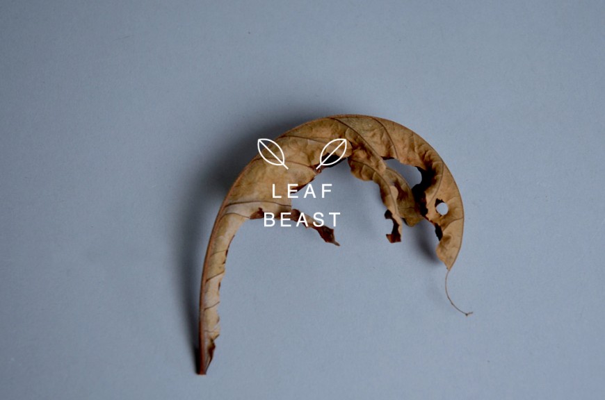 animal-feuille-09