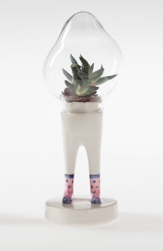 domsai-pied-cactus-02