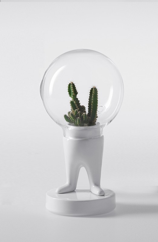 domsai-pied-cactus-03