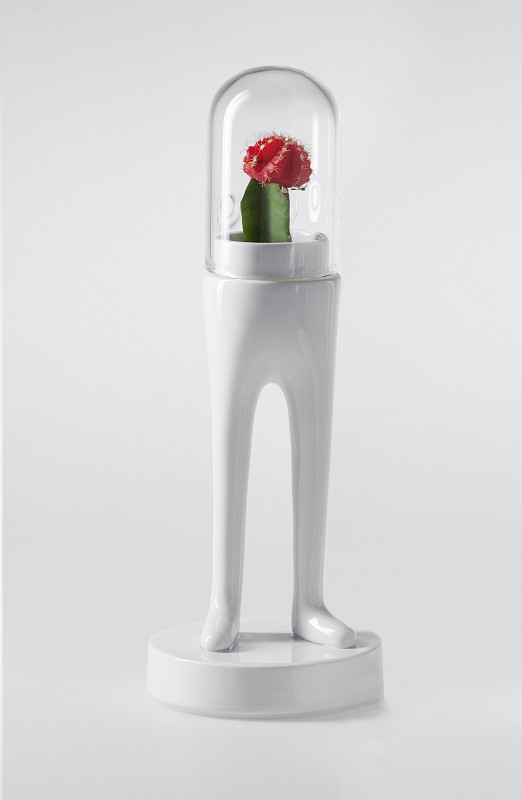 domsai-pied-cactus-05