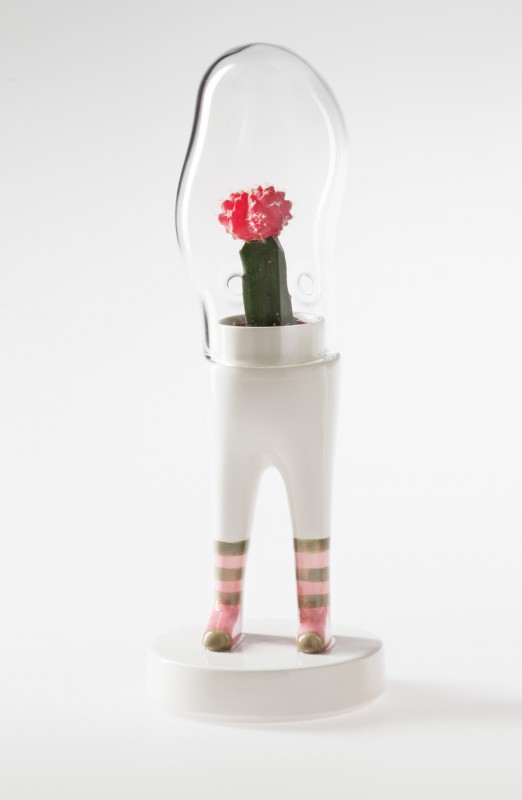domsai-pied-cactus-06