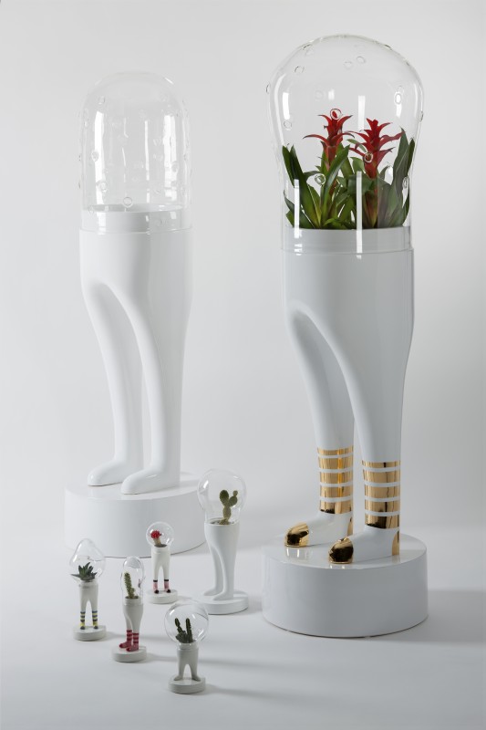 domsai-pied-cactus-07