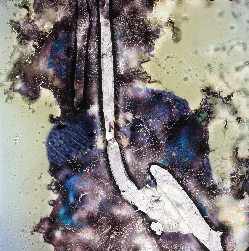 photo-champignon-microbe-04