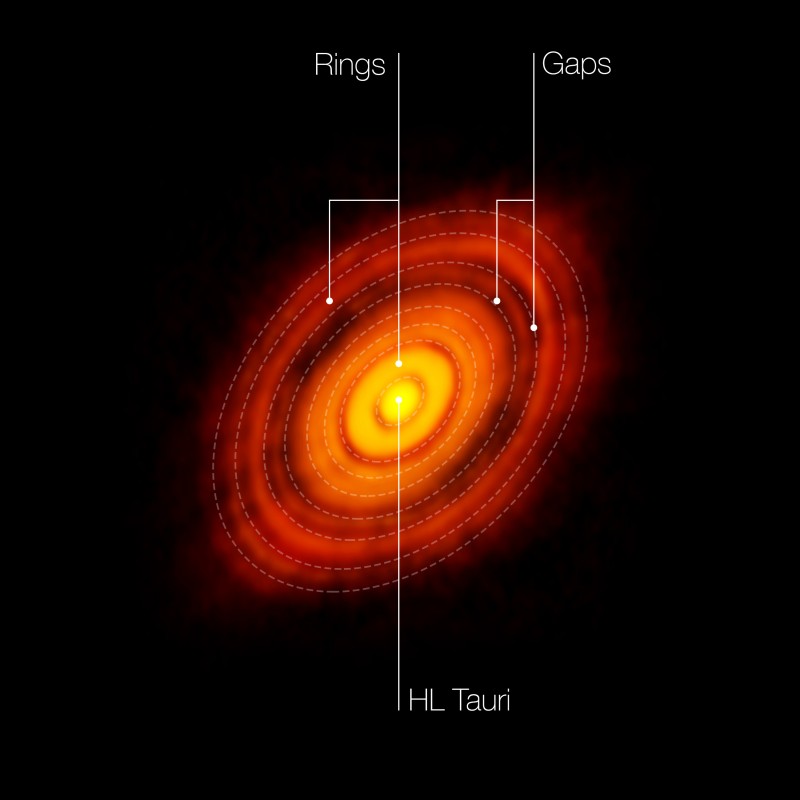 ALMA image of the young star HL Tauri (annotated)