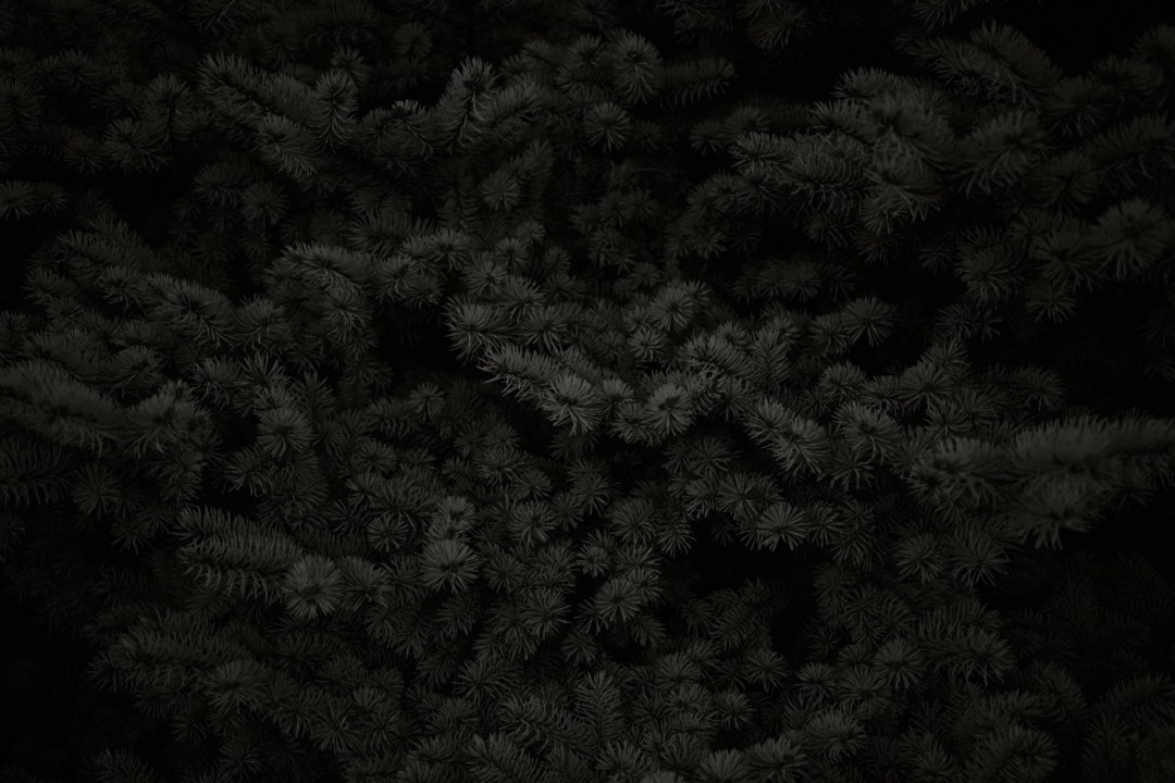 quotidien-noir-Goseong-Choi-03