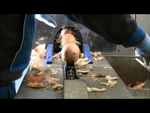 Une machine industrielle à peler des oignons