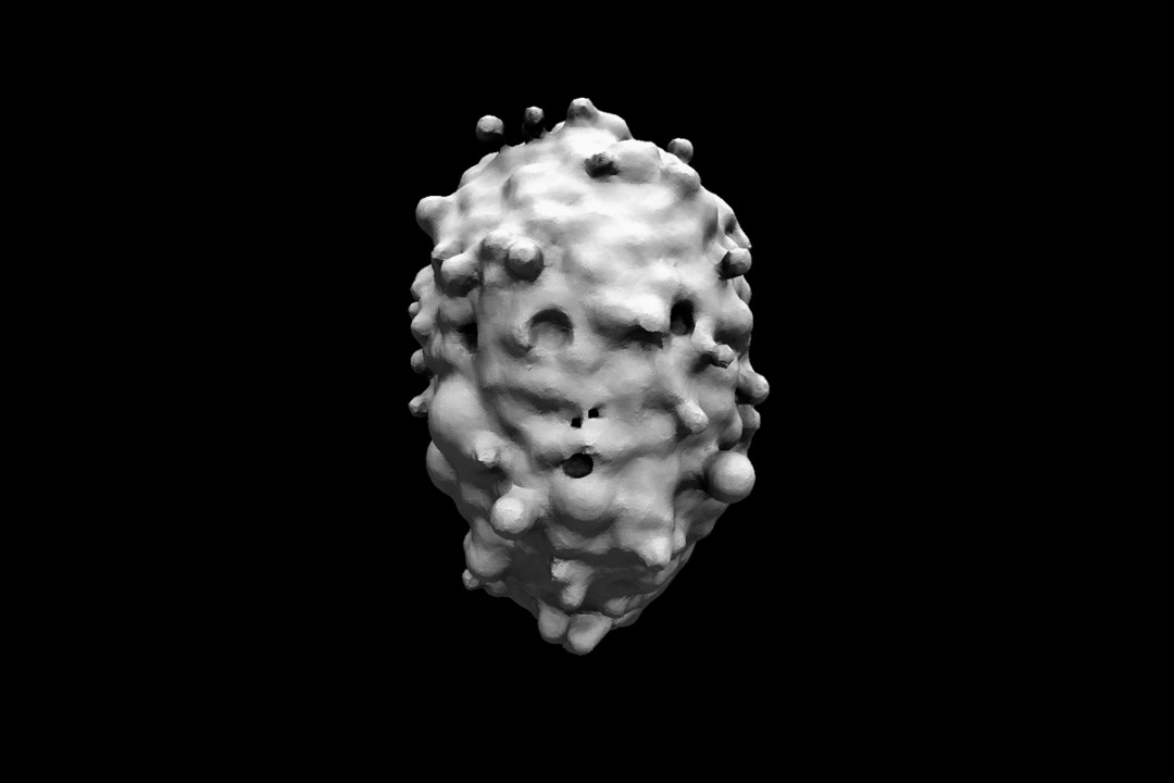 algorithme-visage-02