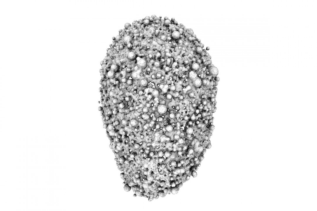 algorithme-visage-06