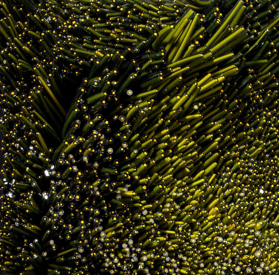 corai-verre-04